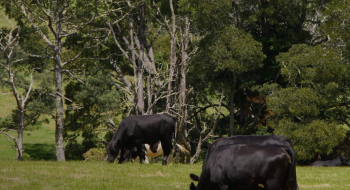 Produtor rural tem prazo para regularizar Domicílio Tributário Eletrônico